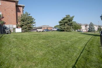 Dog park enclosed by metal fence with large plot of green grass